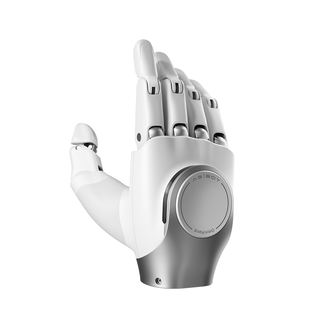 OmniHand