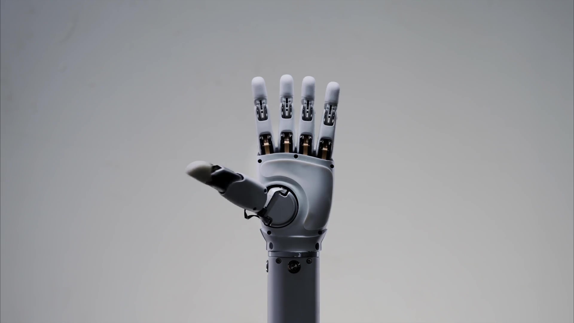 OmniHand