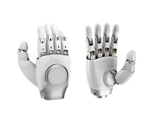 OmniHand