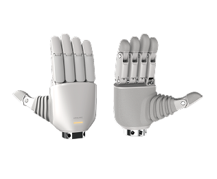OmniHand  Lite