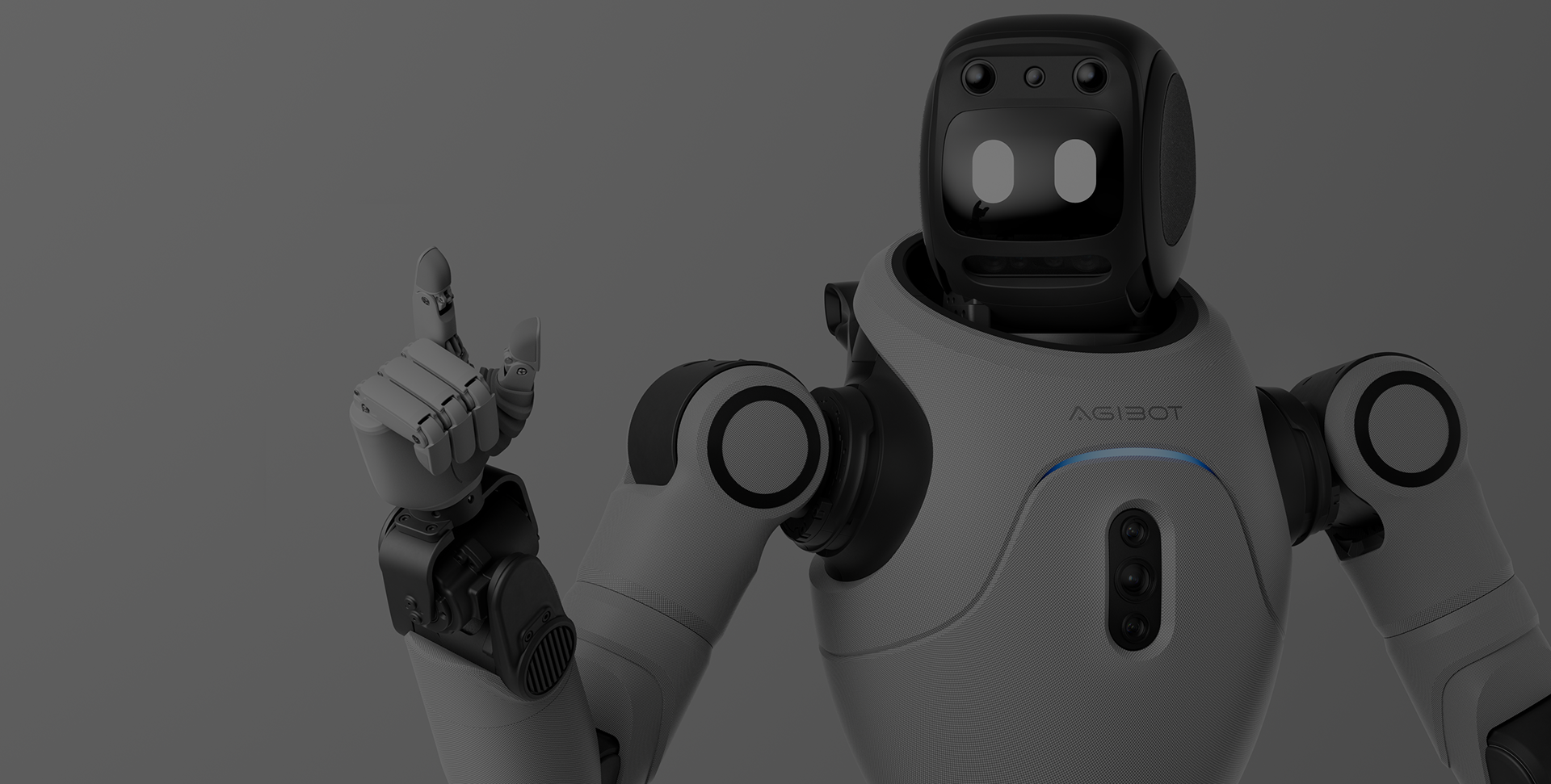 OmniHand Lite